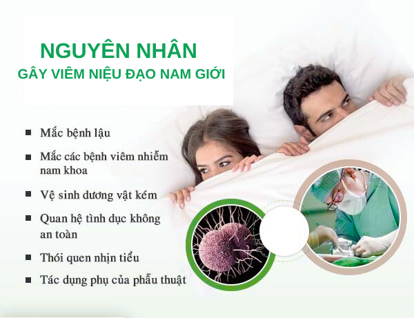 Nguyên Nhân Viêm Niệu Đạo Và Cách Điều Trị