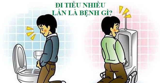 Nguyên Nhân Gây Tiểu Nhiều Lần? Khám Điều Trị Ở Đâu 