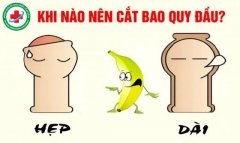 Lợi Ích Của Việc Cắt Bao Quy Đầu? Địa Chỉ Chuyên Khoa Uy Tín Chi Phí Hợp Lý