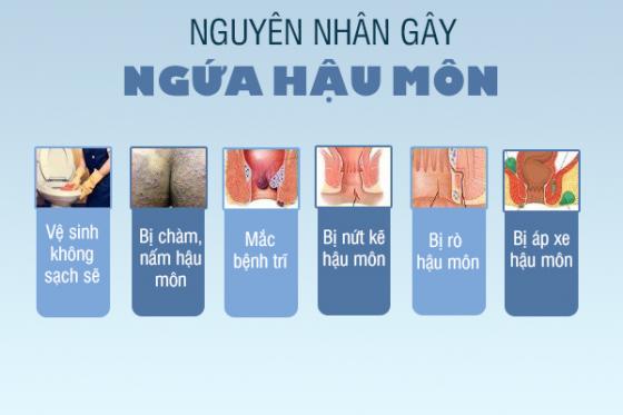 ngua-hau-mon-1.jpg