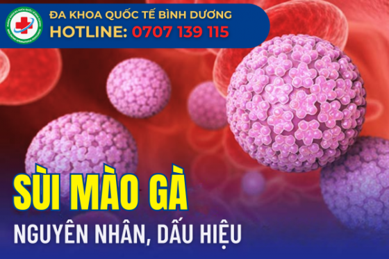 bxh (7).png