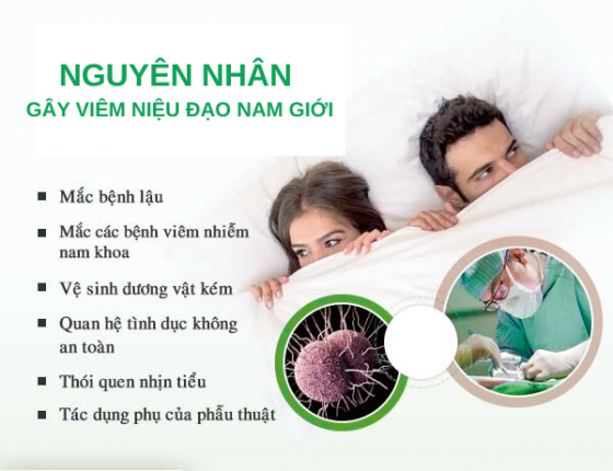 NGUYÊN NHÂN GÂY VIÊM NIỆU ĐẠO NAM GIỚI.png